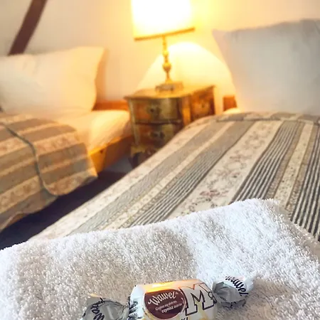 Dworek Adamski 3* Валбжих