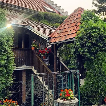 Bed and breakfast Dworek Adamski